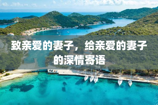 致亲爱的妻子，给亲爱的妻子的深情寄语今晚必出三肖2025_2025新澳门精准免费提供·精确判断