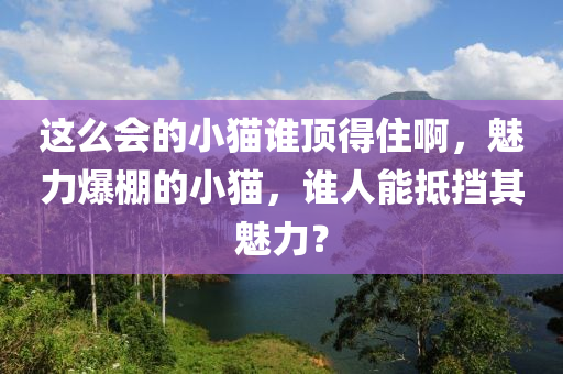 这么会的小猫谁顶得住啊，魅力爆棚的小猫，谁人能抵挡其魅力？今晚必出三肖2025_2025新澳门精准免费提供·精确判断