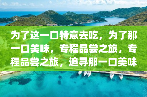 为了这一口特意去吃，为了那一口今晚必出三肖2025_2025新澳门精准免费提供·精确判断美味，专程品尝之旅，专程品尝之旅，追寻那一口美味
