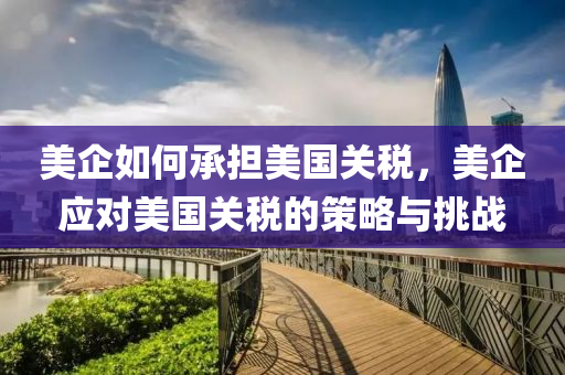美企如何承担美国关税，美企应对美国关税的策略与挑战今晚必出三肖2025_2025新澳门精准免费提供·精确判断