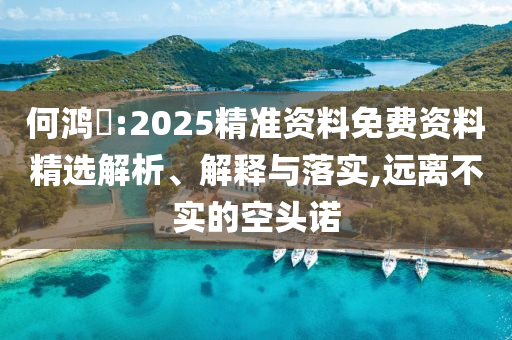 何鸿燊:2025精准资料免费资料精选解析、解释与落实,远离不实的空头诺今晚必出三肖2025_2025新澳门精准免费提供·精确判断